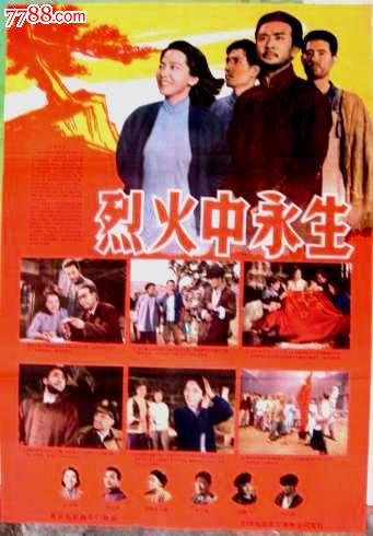 深圳办国际驾照怎么申请
